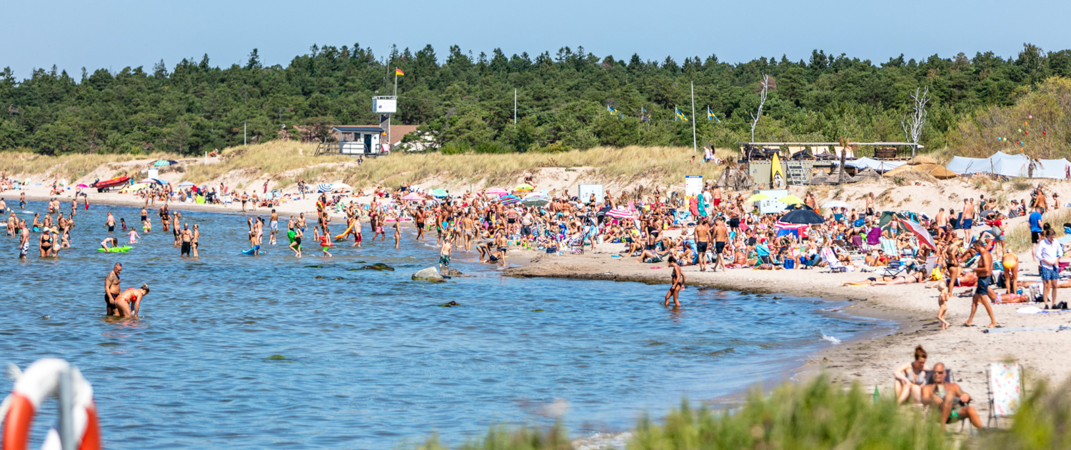 Tofta Camping - Havsnära camping och stugor på Gotland