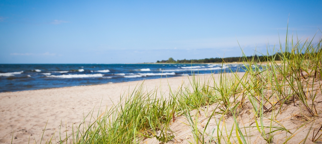 Strand_header